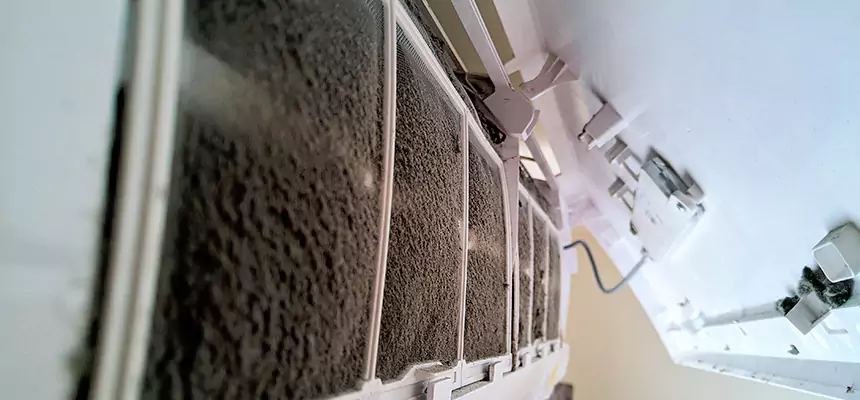 Preventive Air Duct Bacteria Removal in Godfrey