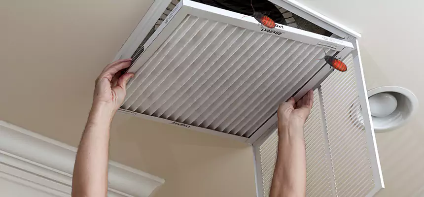 Preventive Cockroach-Proofing for Ducts in Godfrey