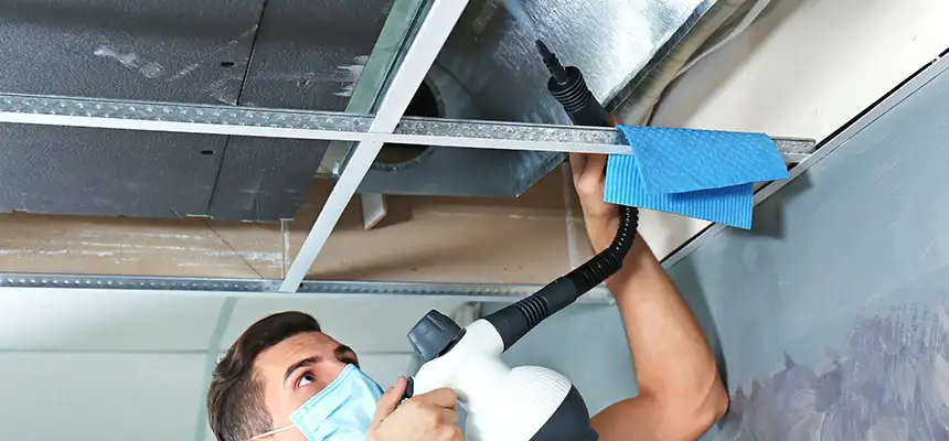 Our Air Duct Rodent Removal Services in Godfrey, IL