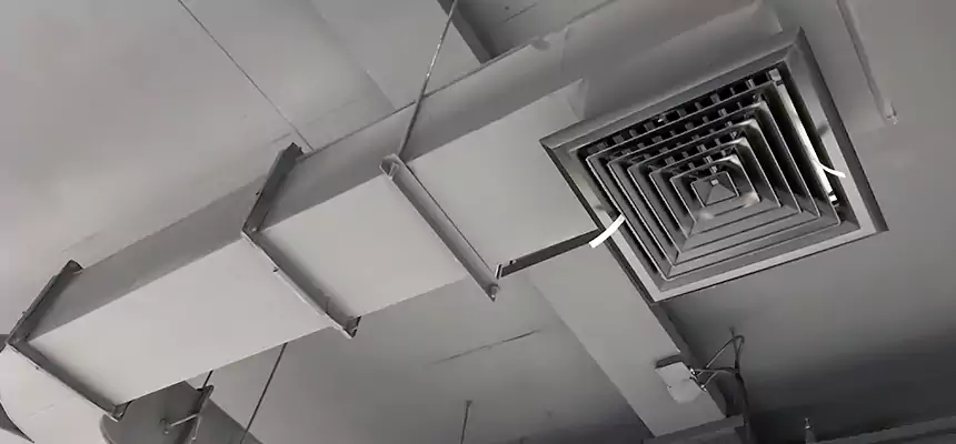 Restorative Allergy Relief Vent Cleaning – Coil, Blower & Housing Detail in Godfrey