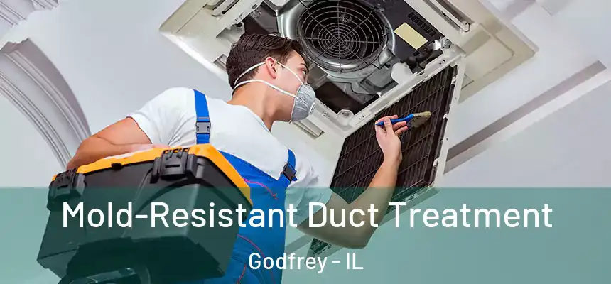  Mold-Resistant Duct Treatment Godfrey - IL