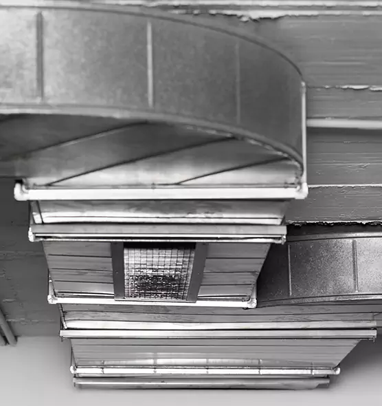 Professional Air Duct Pest Removal in Godfrey, IL