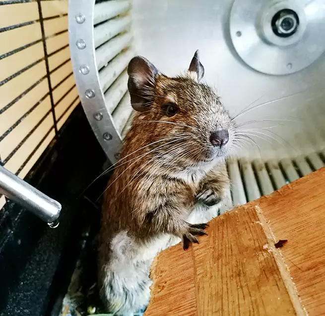 Why Homeowners & Businesses Trust Us Godfrey, IL